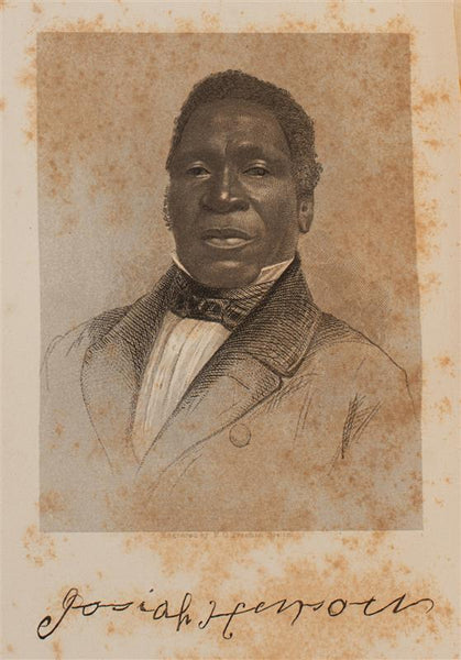 In the Light of Dawn