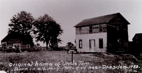 In the Light of Dawn