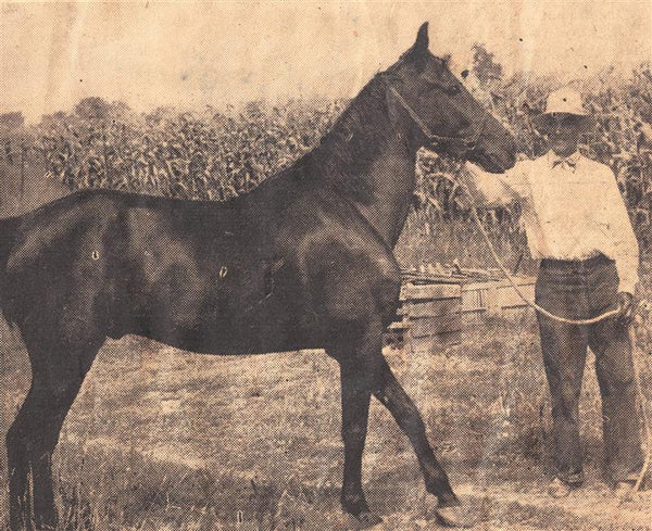 In the Light of Dawn