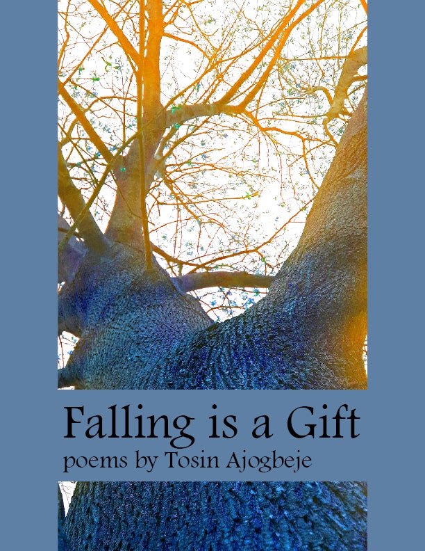 Falling is a Gift - Paperback