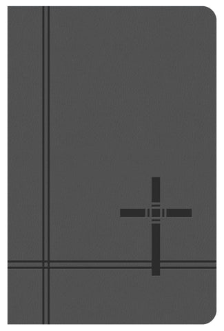 KJV Deluxe Gift &amp; Award Bible (Gray)