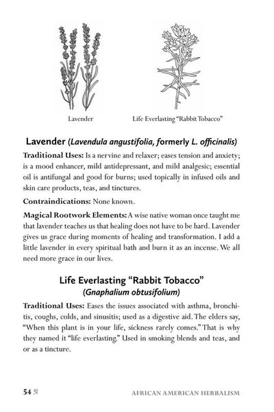 African American Herbalism