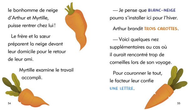 Mais où est passé notre bonhomme de neige?