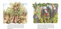 Anansi and the Moss-Covered Rock